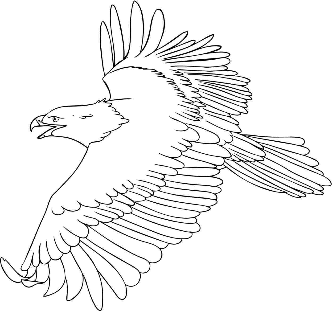 Dibujos para colorear e imprimir Eagles