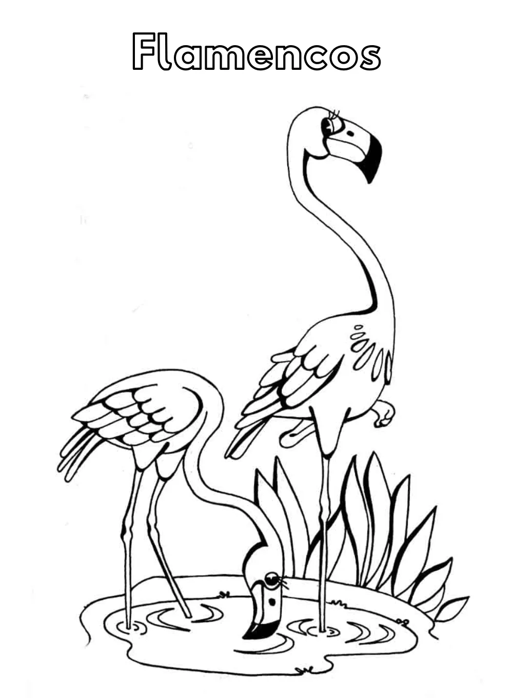 Dibujos para colorear e imprimir Flamingo