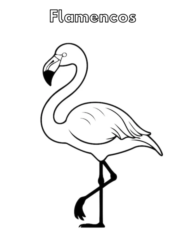 Flamingo coloring pages 41