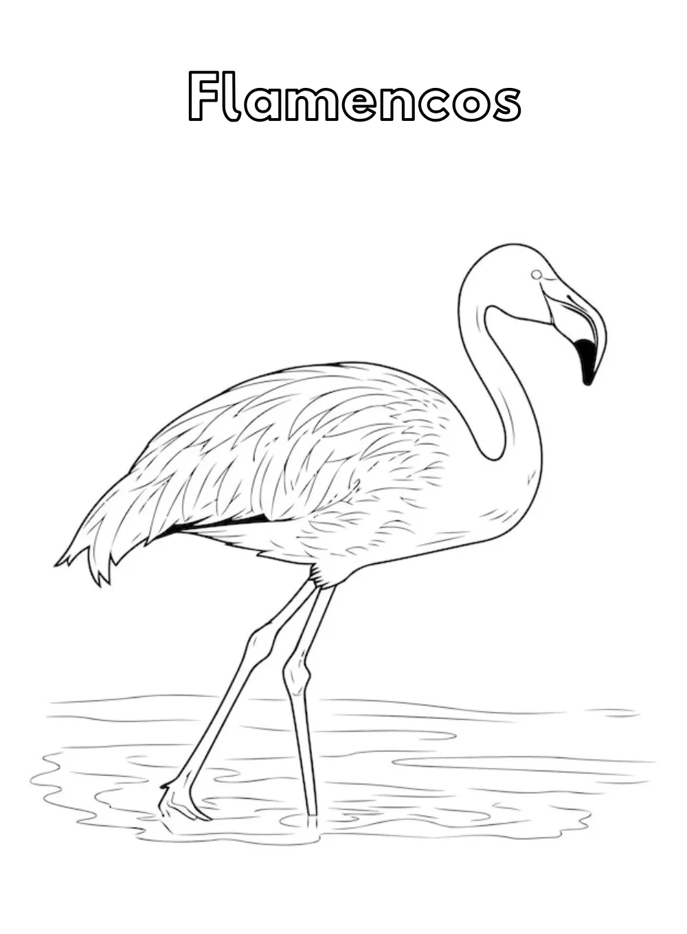 Dibujos para colorear e imprimir Flamingo