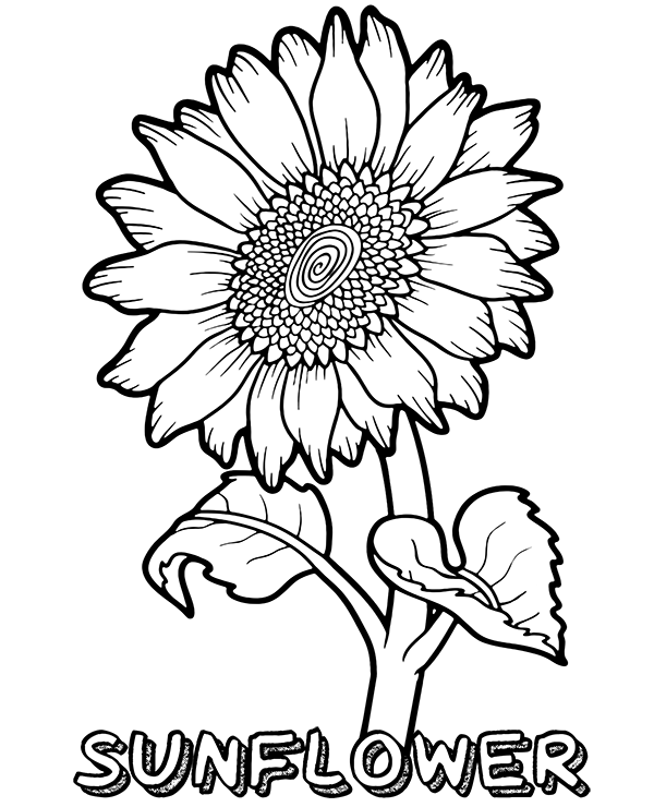 Dibujos para colorear e imprimir Flowers