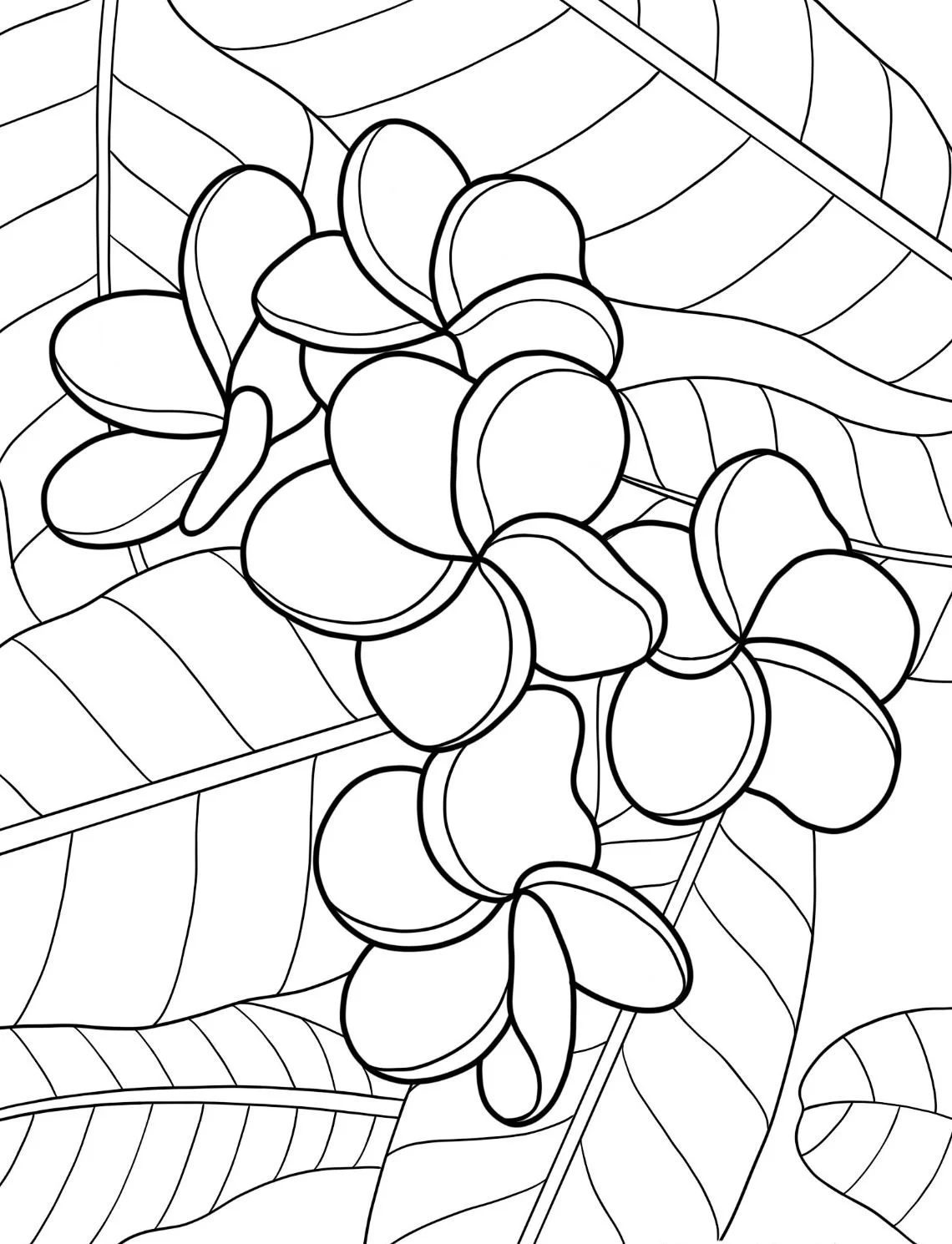 Dibujos para colorear e imprimir Flowers