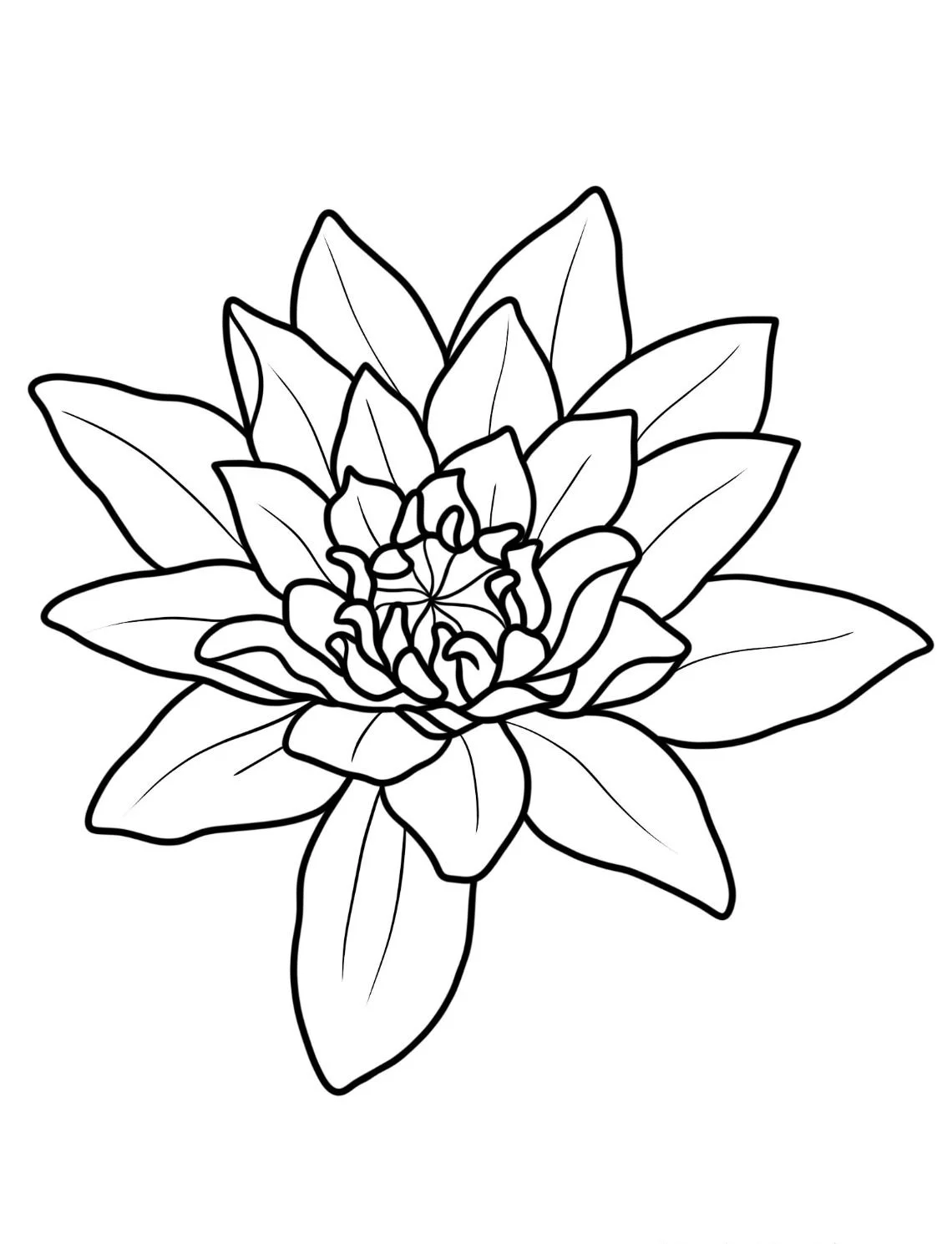 Dibujos para colorear e imprimir Flowers