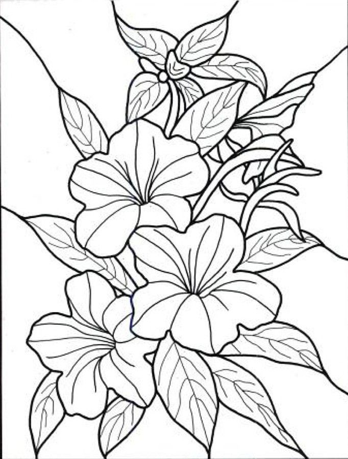 Dibujos para colorear e imprimir Flowers