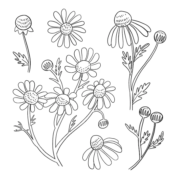 Dibujos para colorear e imprimir Flowers