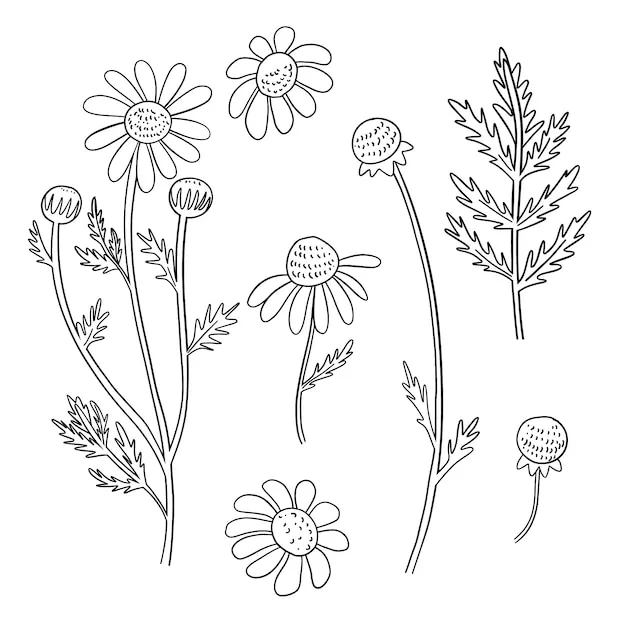 Dibujos para colorear e imprimir Flowers