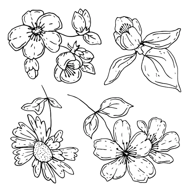 Dibujos para colorear e imprimir Flowers