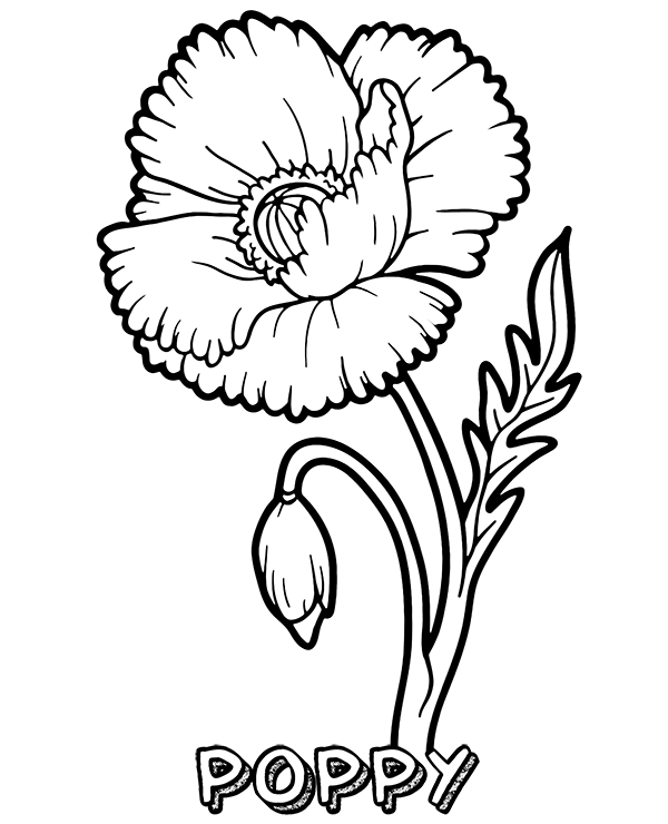 Dibujos para colorear e imprimir Flowers