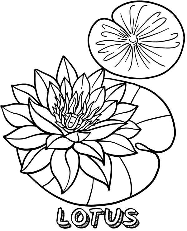 Dibujos para colorear e imprimir Flowers