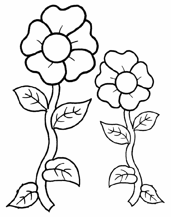 Dibujos para colorear e imprimir Flowers