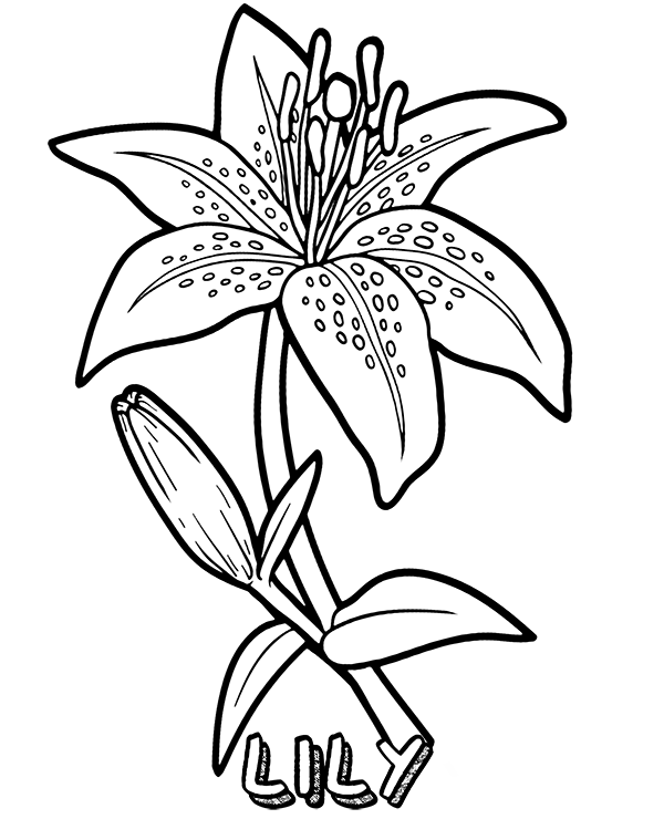 Dibujos para colorear e imprimir Flowers