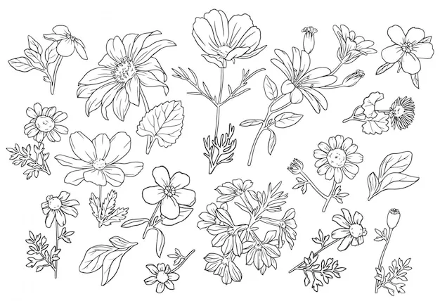 Dibujos para colorear e imprimir Flowers