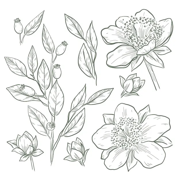 Dibujos para colorear e imprimir Flowers