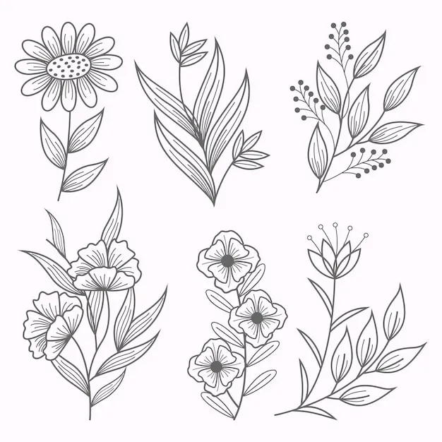 Dibujos para colorear e imprimir Flowers