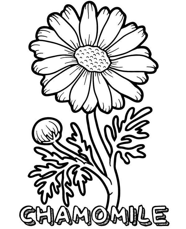 Dibujos para colorear e imprimir Flowers