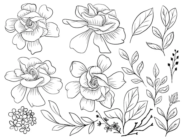 Dibujos para colorear e imprimir Flowers