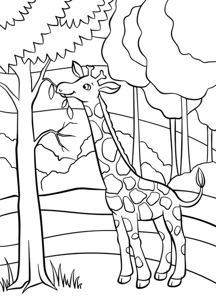 Dibujos para colorear e imprimir Giraffe