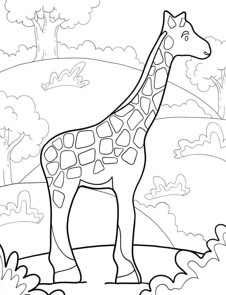 Dibujos para colorear e imprimir Giraffe