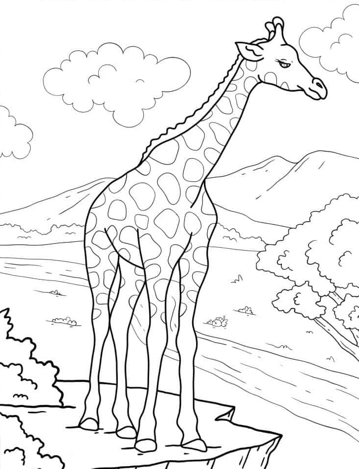 Dibujos para colorear e imprimir Giraffe