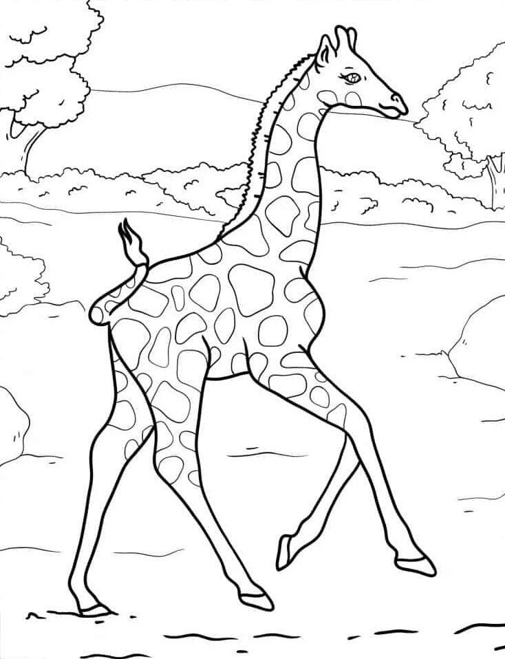 Dibujos para colorear e imprimir Giraffe