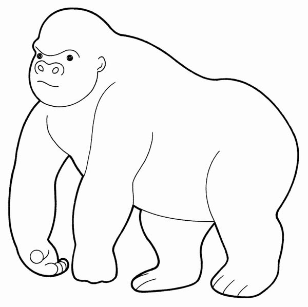 Dibujos para colorear e imprimir Gorilla