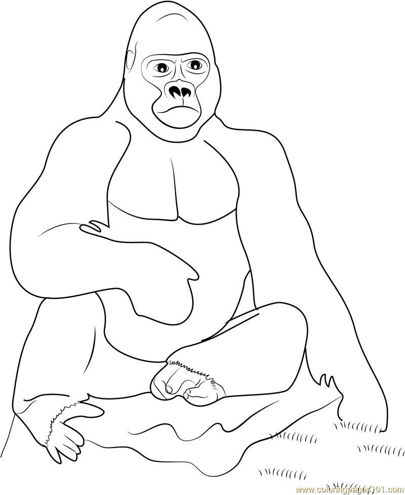 Dibujos para colorear e imprimir Gorilla