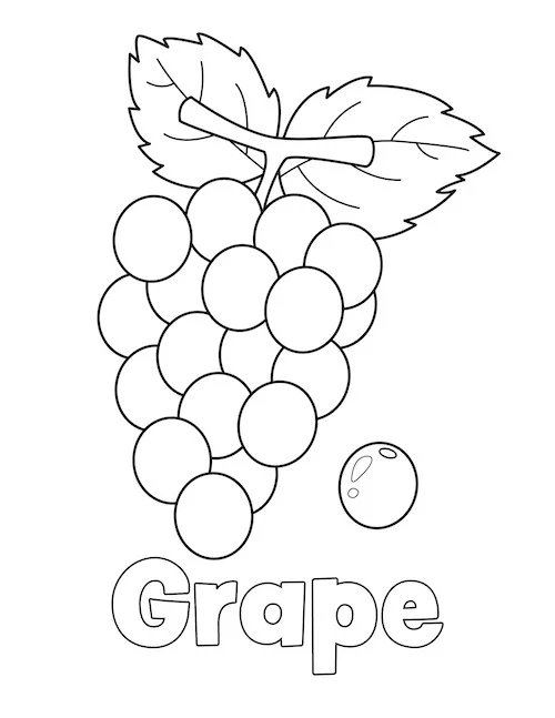 Dibujos para colorear e imprimir Grape