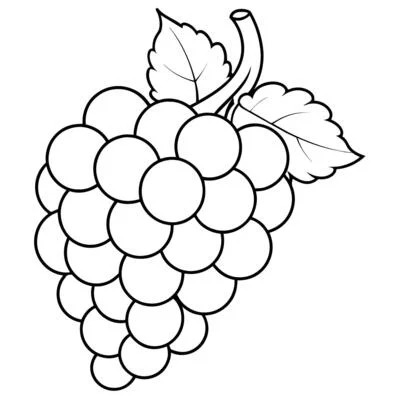 Dibujos para colorear e imprimir Grape