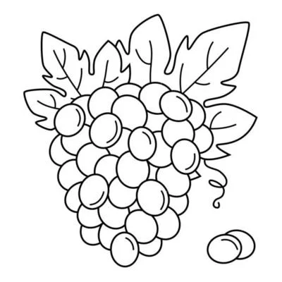 Dibujos para colorear e imprimir Grape