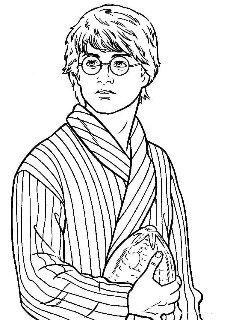 Dibujos para colorear e imprimir Harry Potter