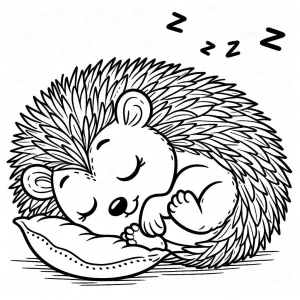 Hedgehog coloring pages 5