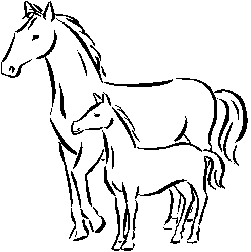 Horse coloring pages 14