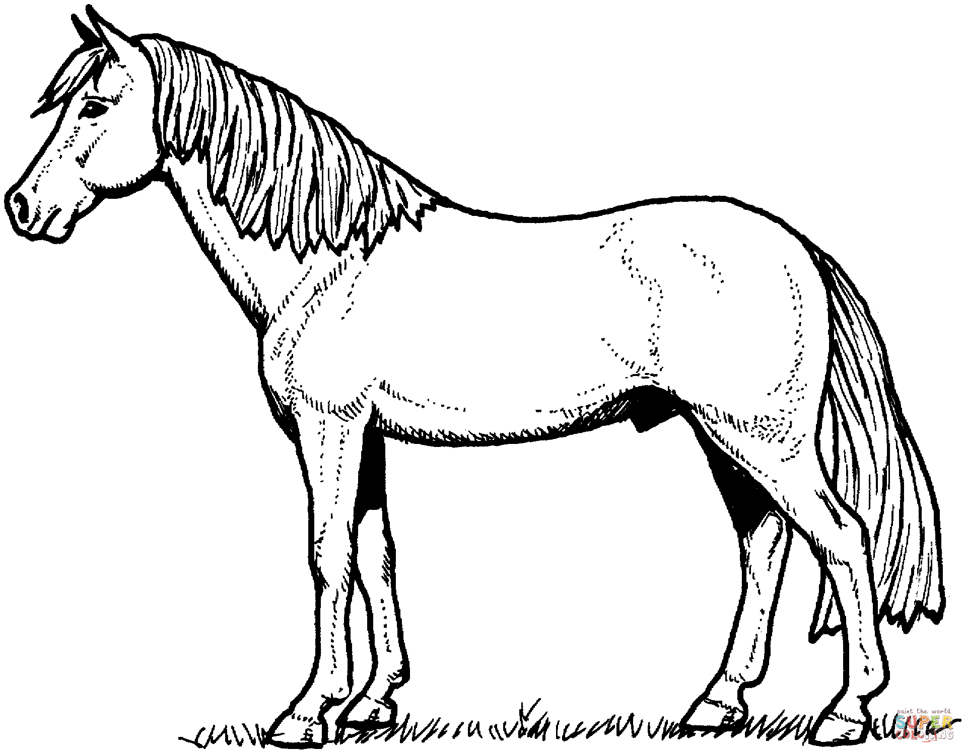 Dibujos para colorear e imprimir Horse