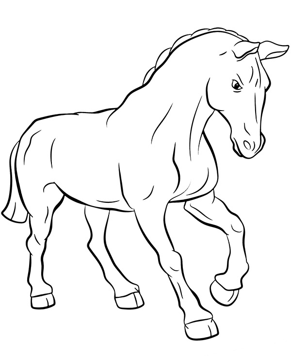 Dibujos para colorear e imprimir Horse