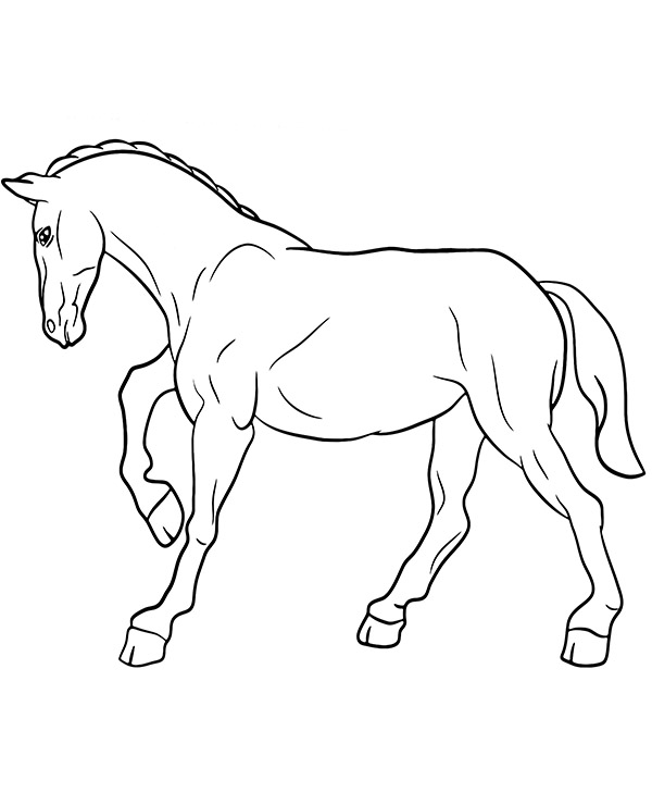 Dibujos para colorear e imprimir Horse