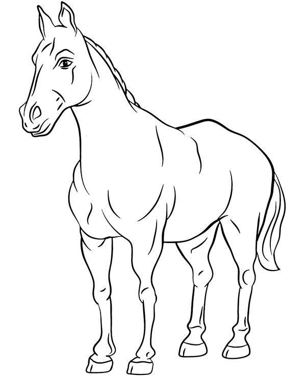 Dibujos para colorear e imprimir Horse