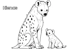 Hyenas coloring pages 42