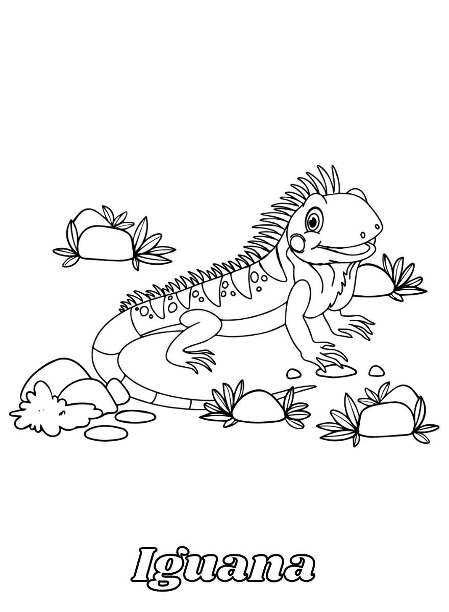 Dibujos para colorear e imprimir Iguana