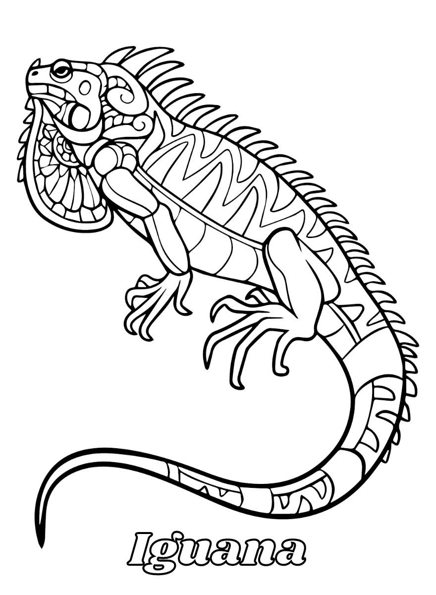 Dibujos para colorear e imprimir Iguana