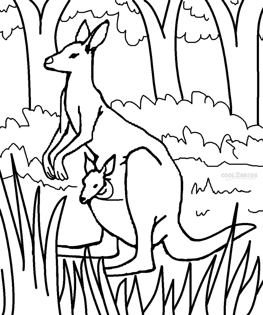 Dibujos para colorear e imprimir Kangaroo