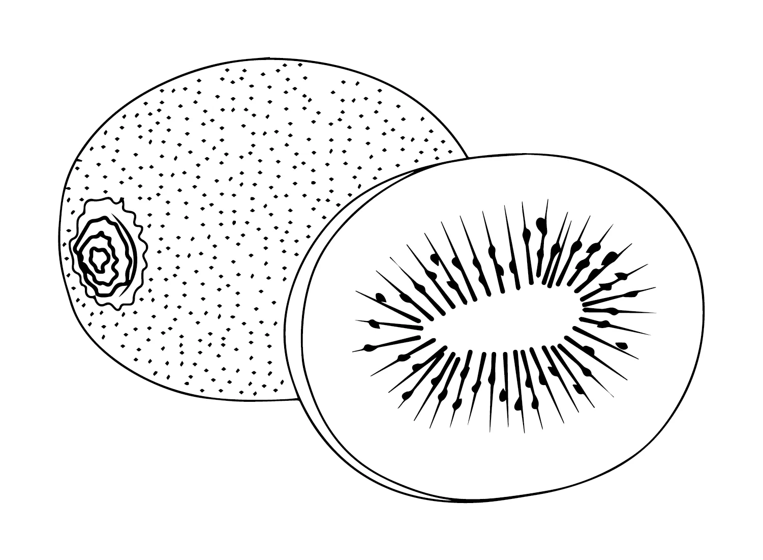 Dibujos para colorear e imprimir Kiwi