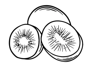 Kiwi coloring pages 26