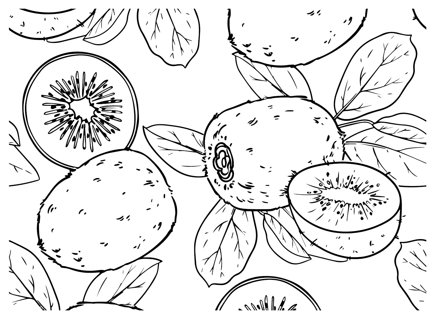 Dibujos para colorear e imprimir Kiwi