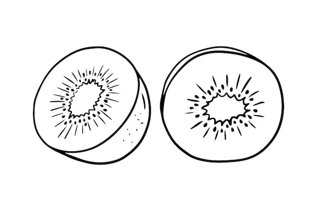 Dibujos para colorear e imprimir Kiwi