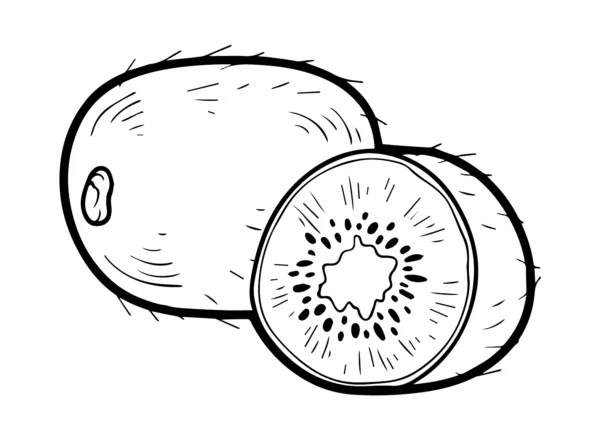 Dibujos para colorear e imprimir Kiwi