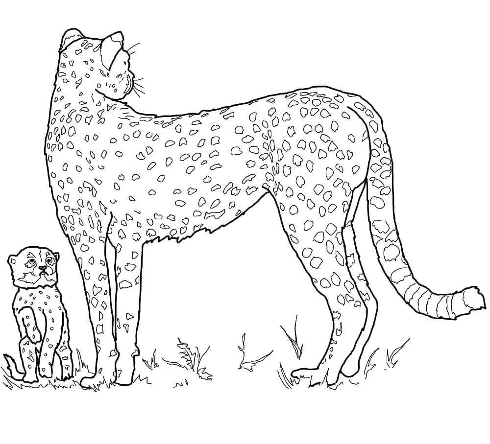 Dibujos para colorear e imprimir Leopard