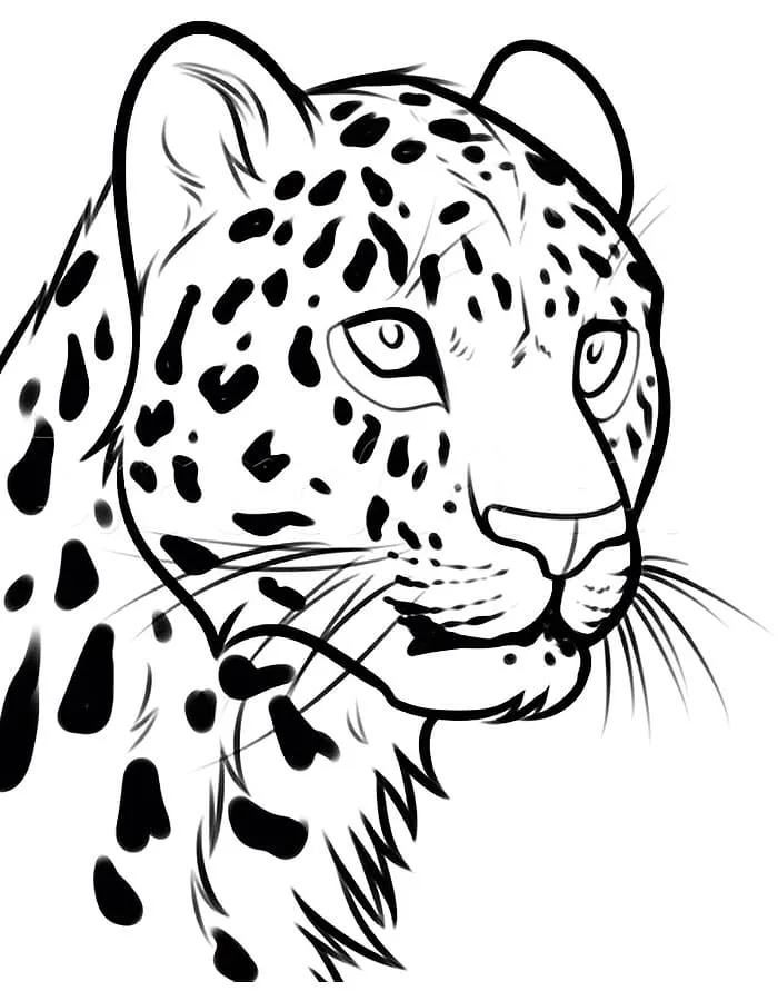 Dibujos para colorear e imprimir Leopard