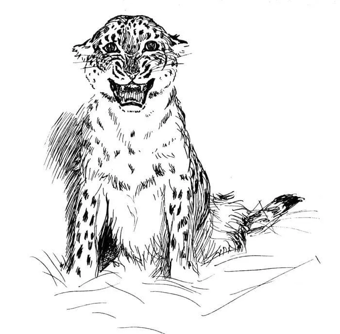 Dibujos para colorear e imprimir Leopard