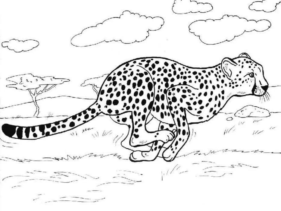 Dibujos para colorear e imprimir Leopard