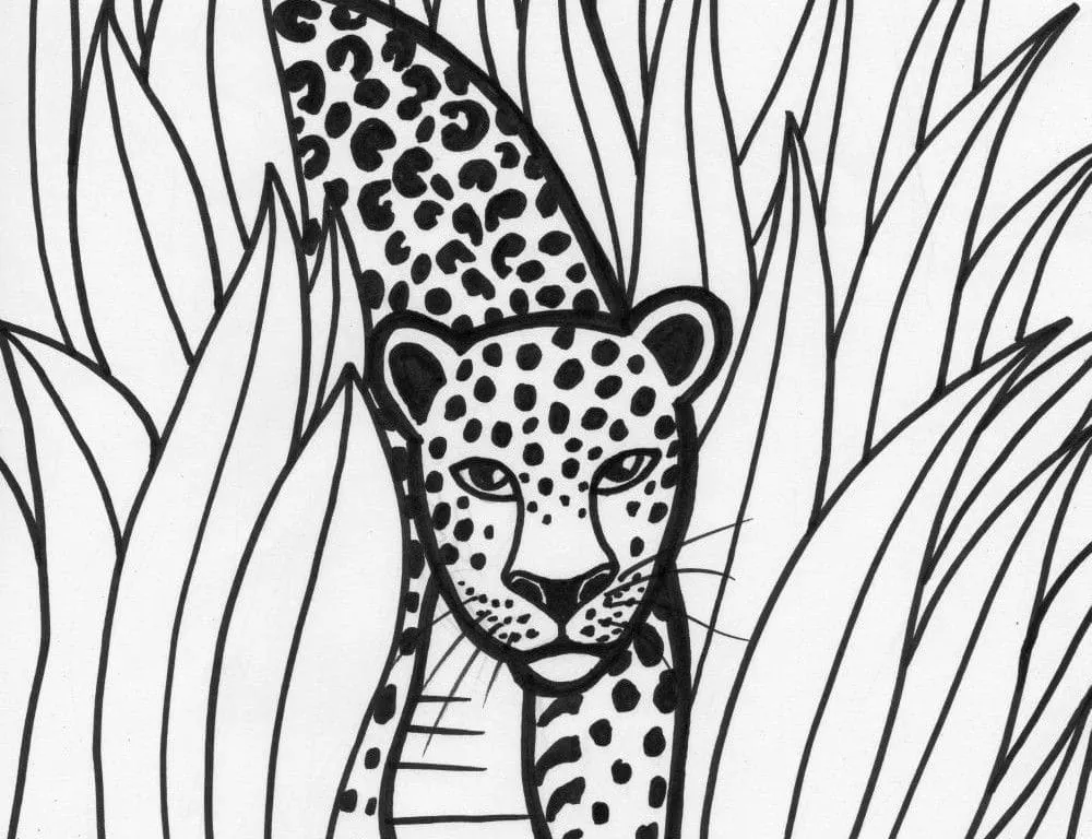 Dibujos para colorear e imprimir Leopard